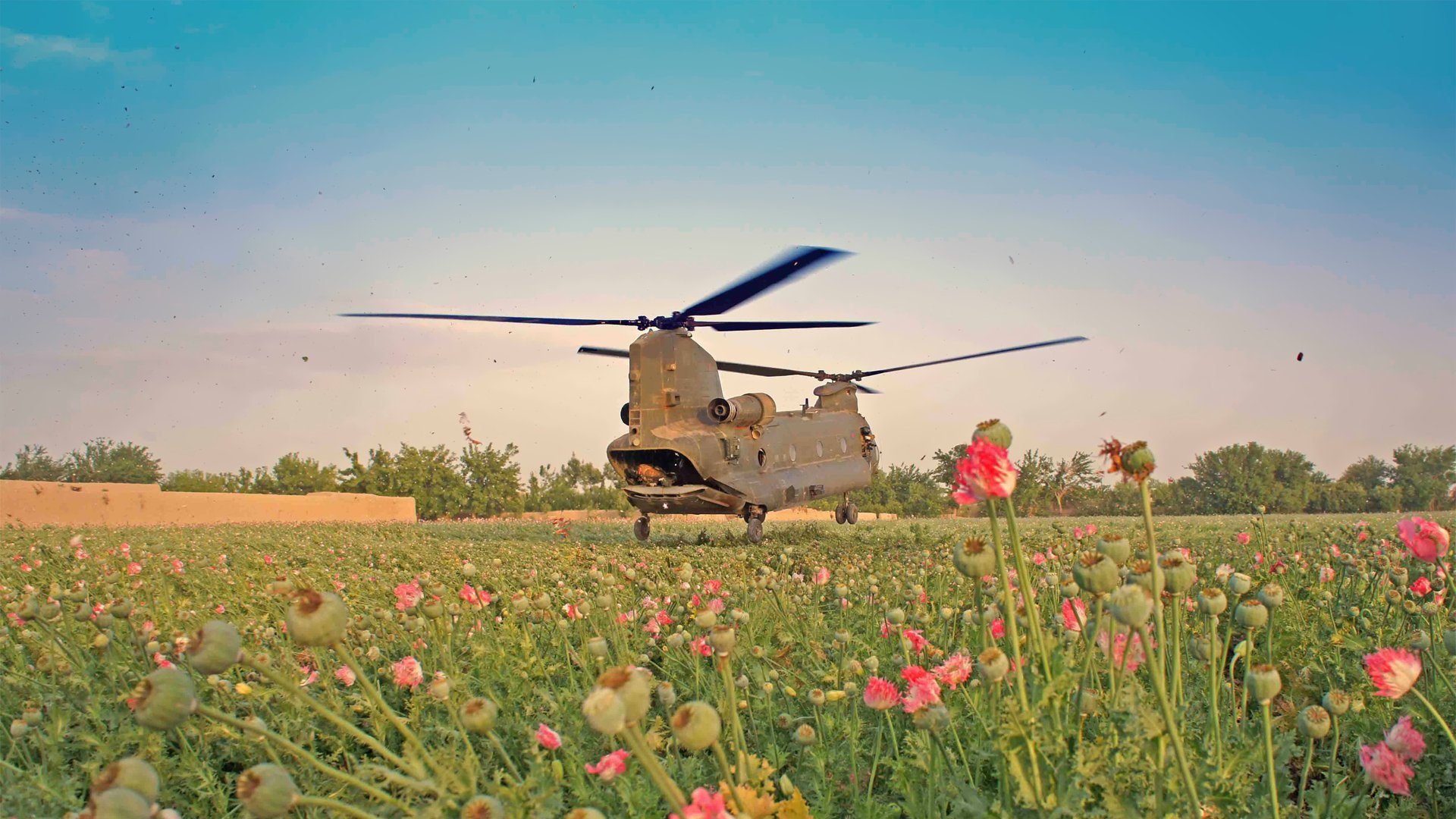 Military Helicopter In Bloom Wallpaper