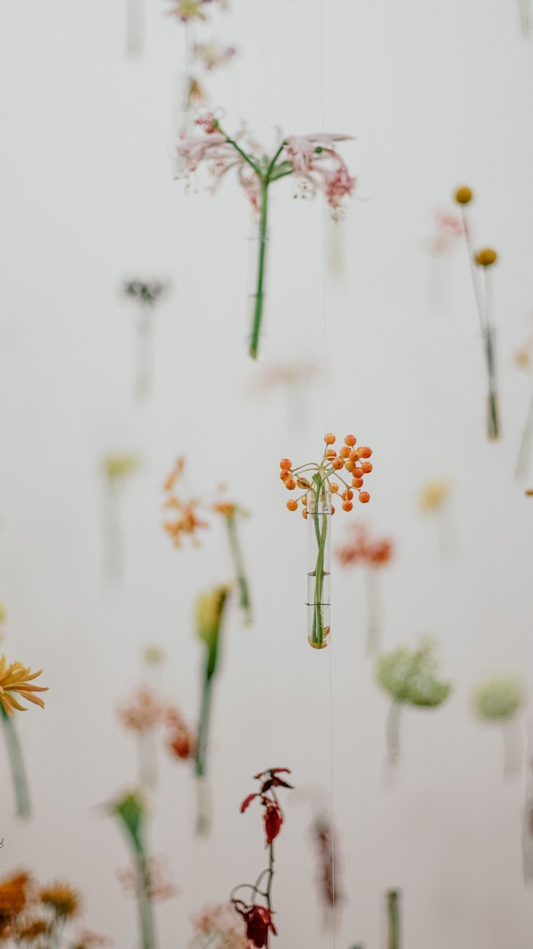 Minimalist Plant Wallpaper On