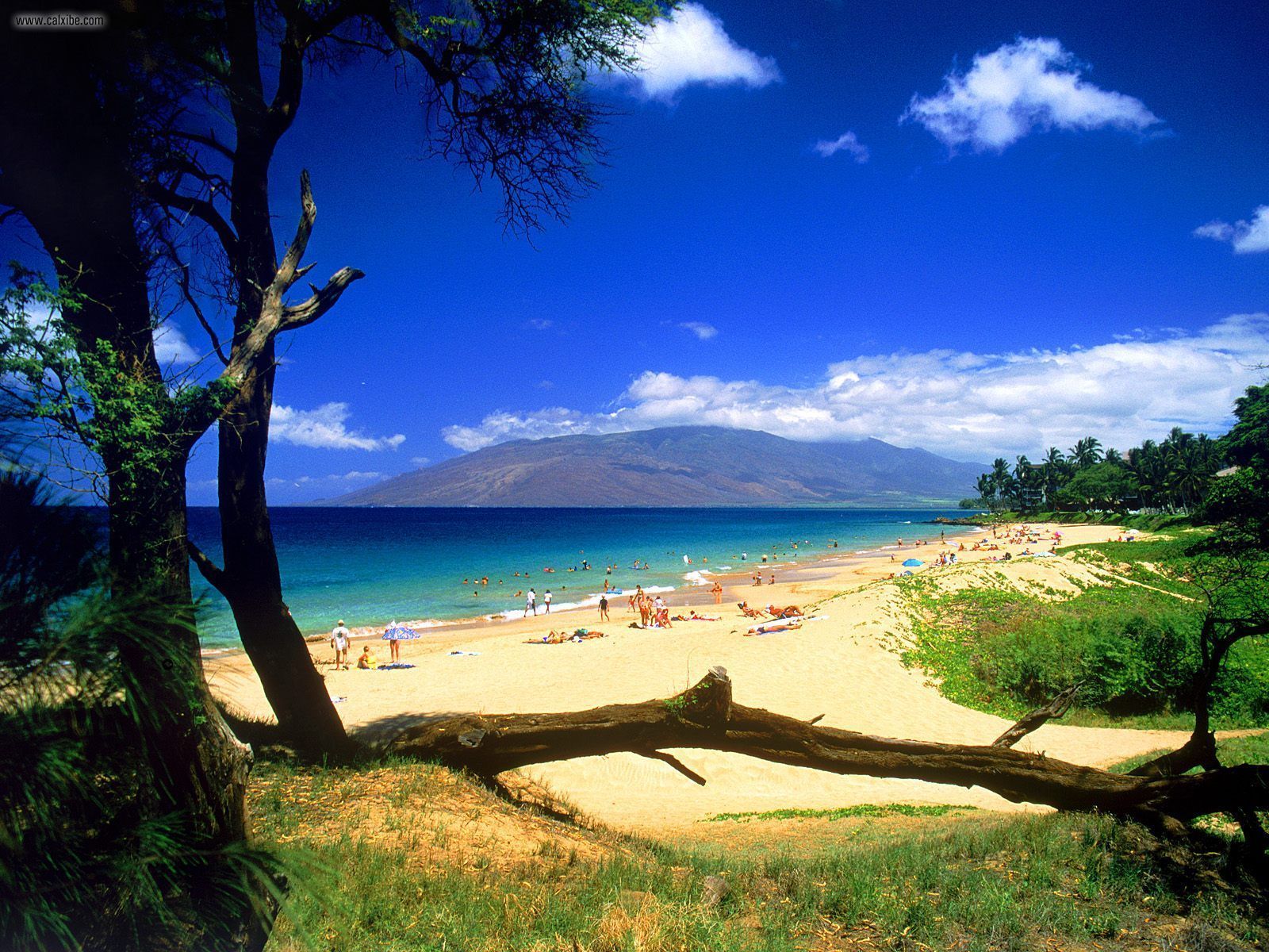 Nature Kihei Beach Maui Hawaii Picture Nr
