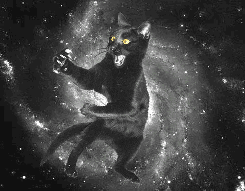 Funny Space Cat Gif Phone Wallpaper By Jonnybravo