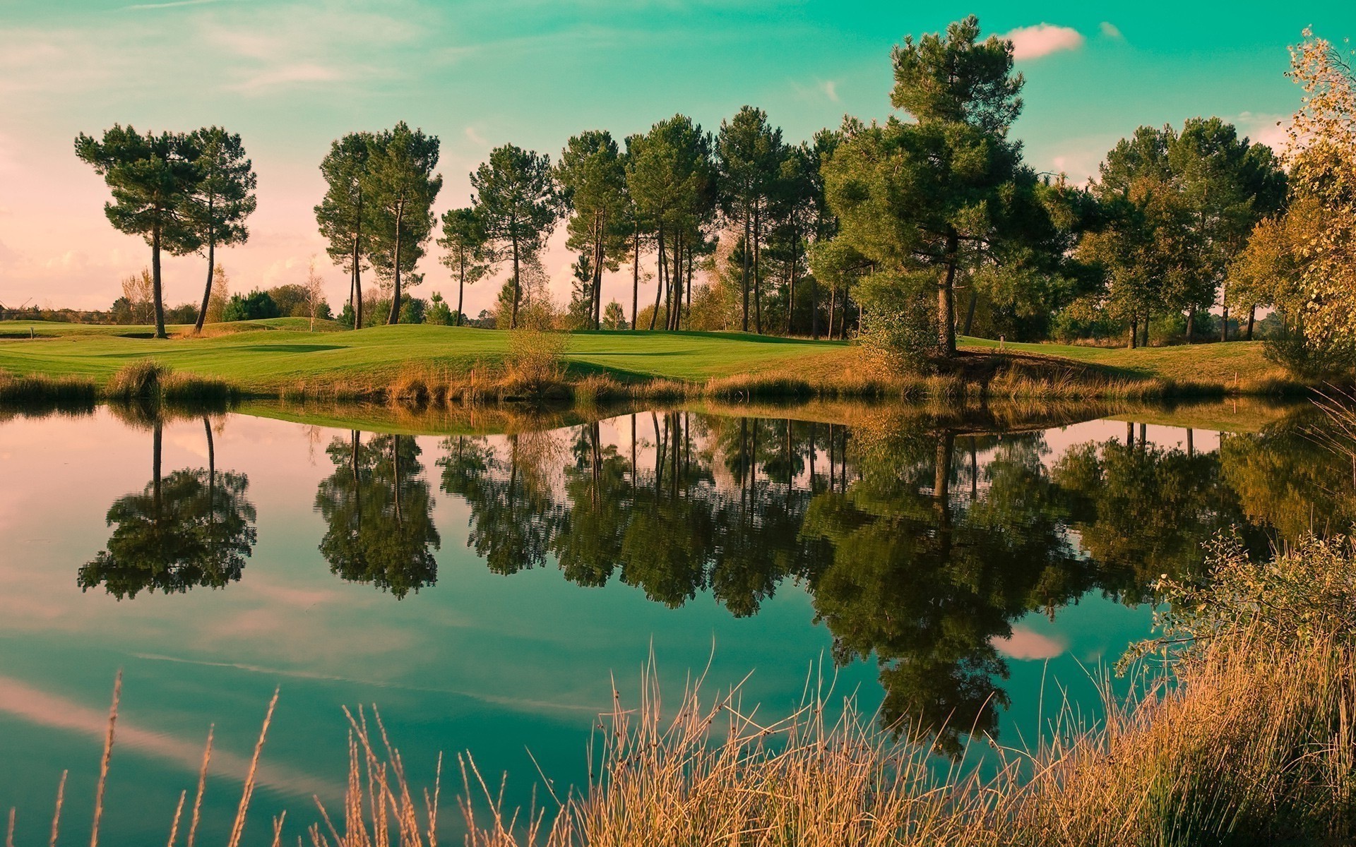 Pond Wallpaper iPad
