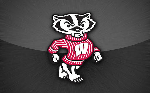 Wisconsin Badgers HD Wallpaper   Android Informer If youre a true