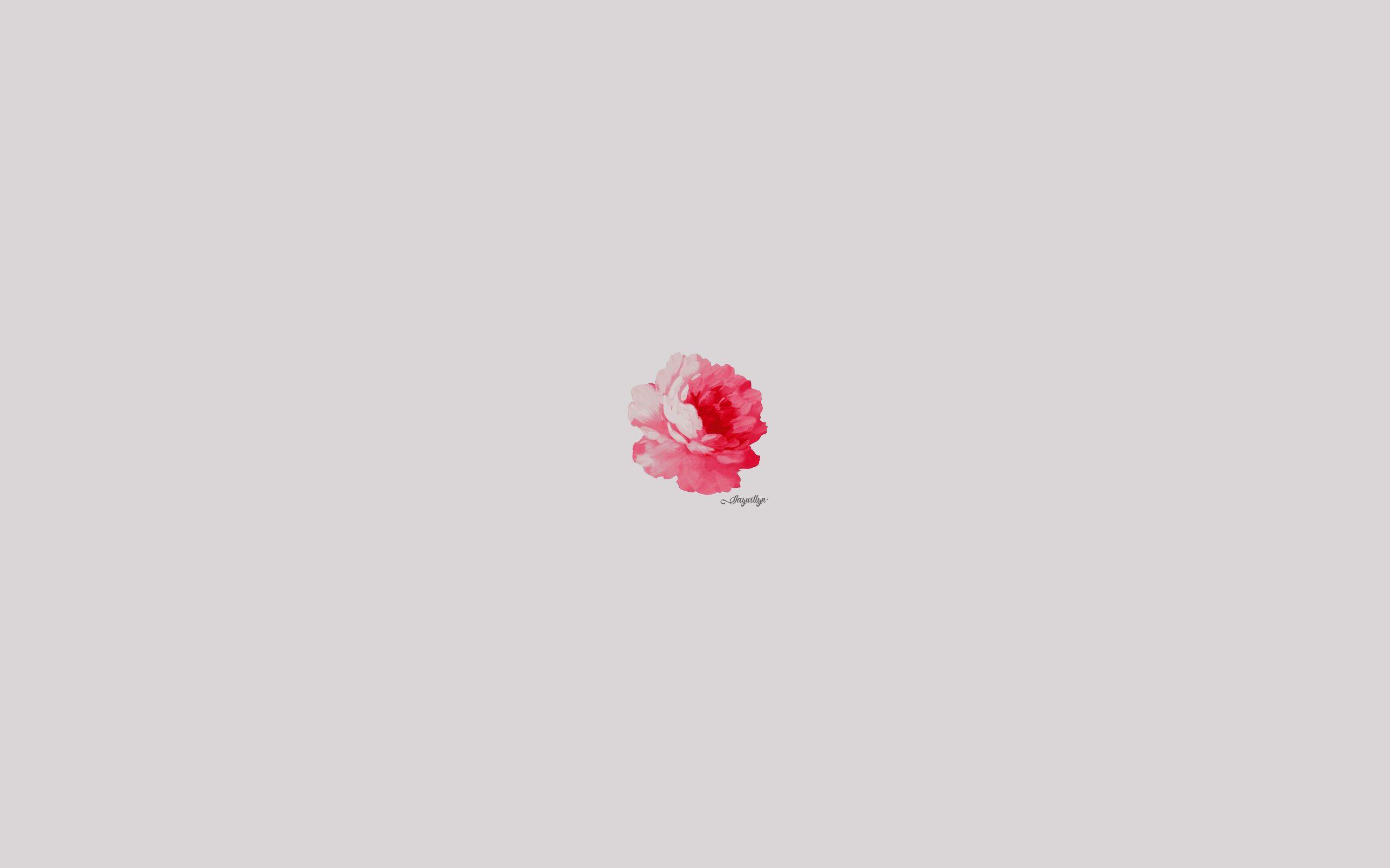 Rose Minimalist Desktop Wallpaper Background