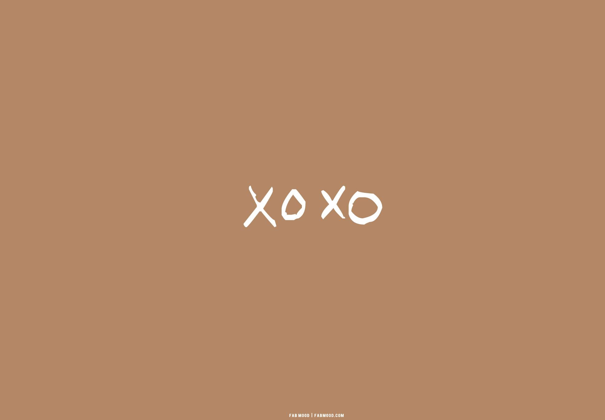 25 Brown Aesthetic Wallpaper for Laptop XOXO 1   Fab Mood