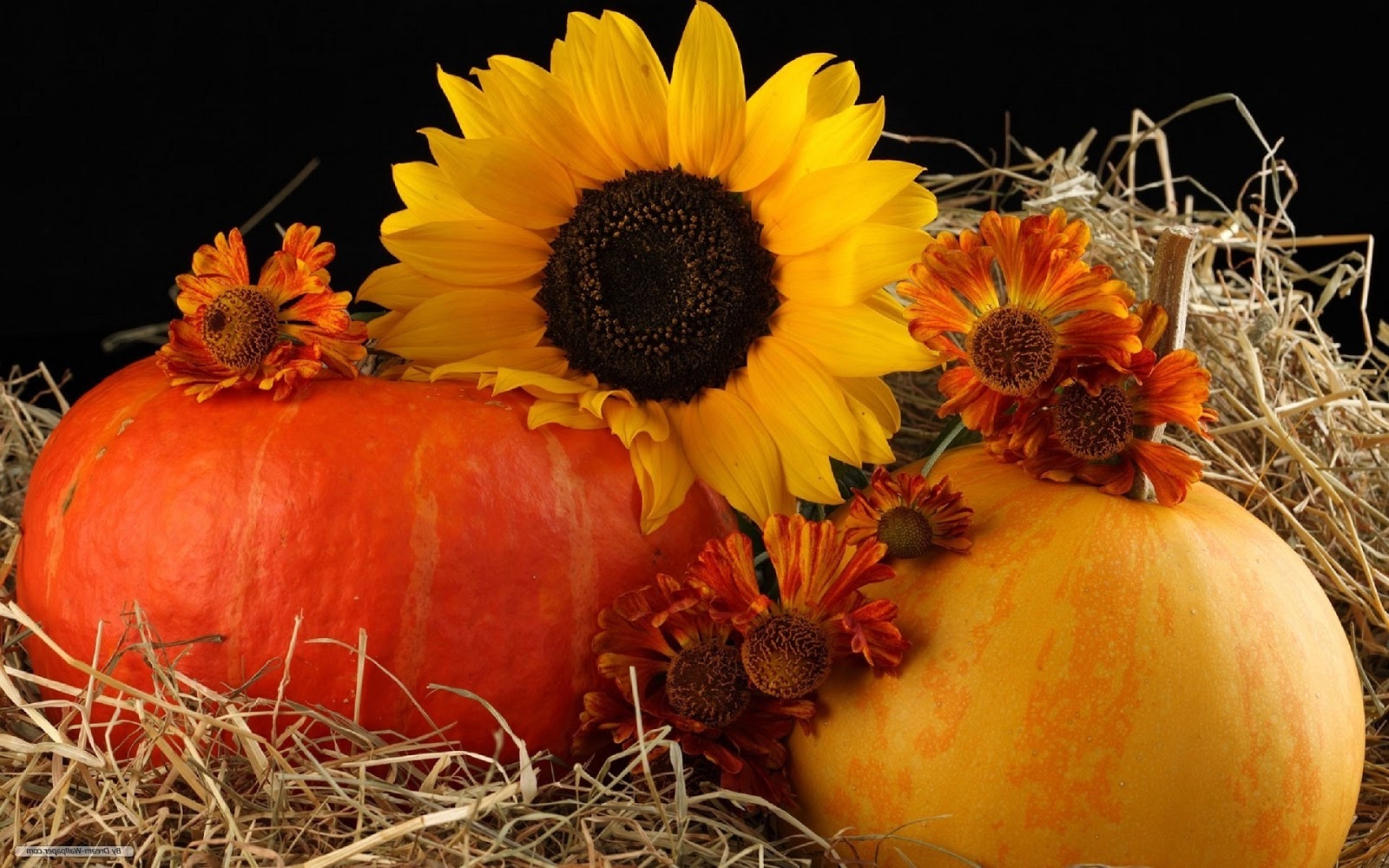 Autumn Harvest Desktop Wallpaper4