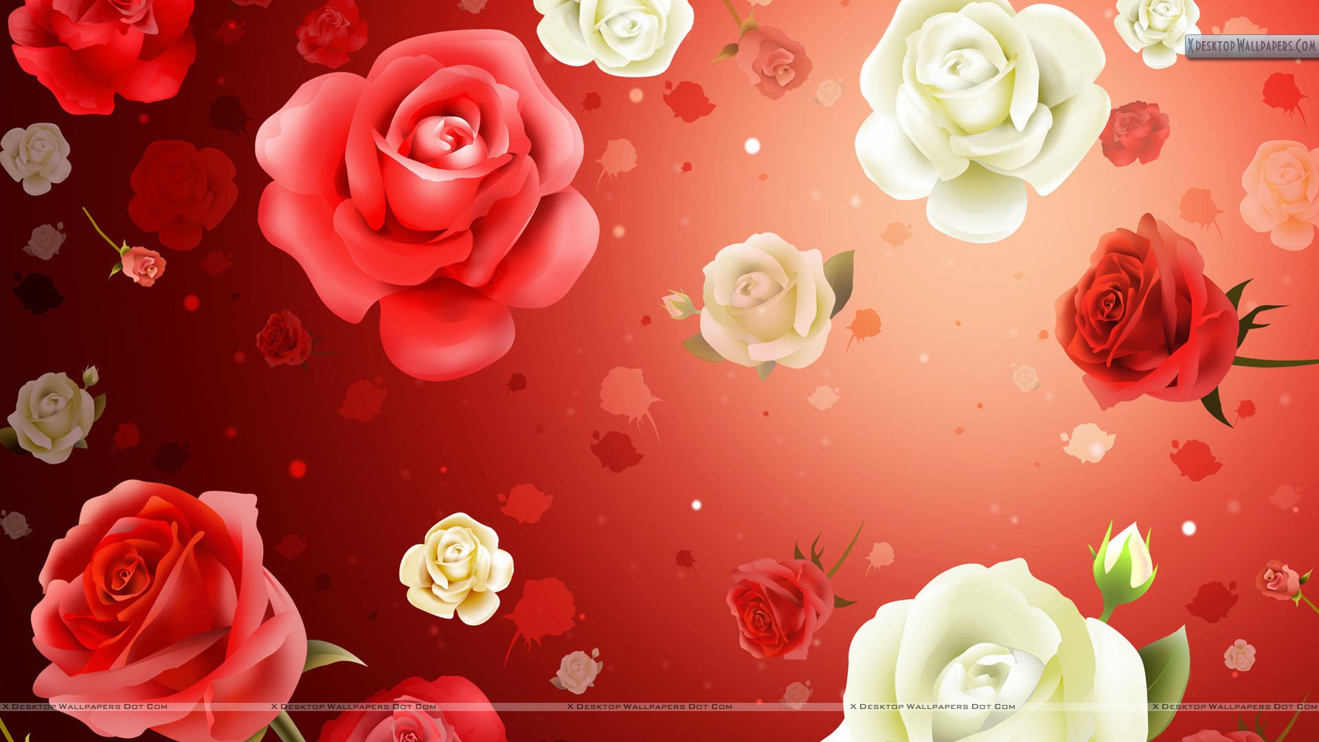 Valentines Flowers Wallpaper Other