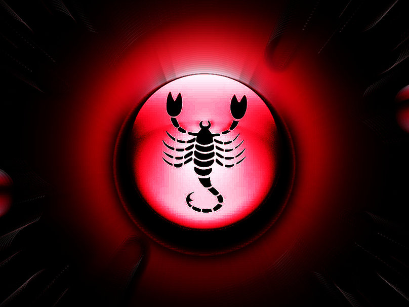 Black Scorpion Wallpapers - Top Free Black Scorpion Backgrounds -  WallpaperAccess