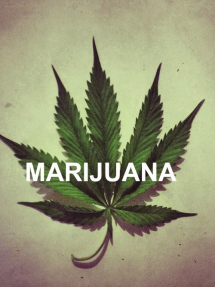 Animated Marijuana Pics Gif