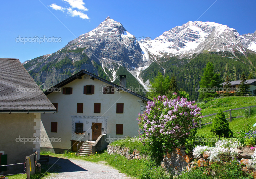 Alpes Suizos Fotos Aldea de Los Alpes Suizos