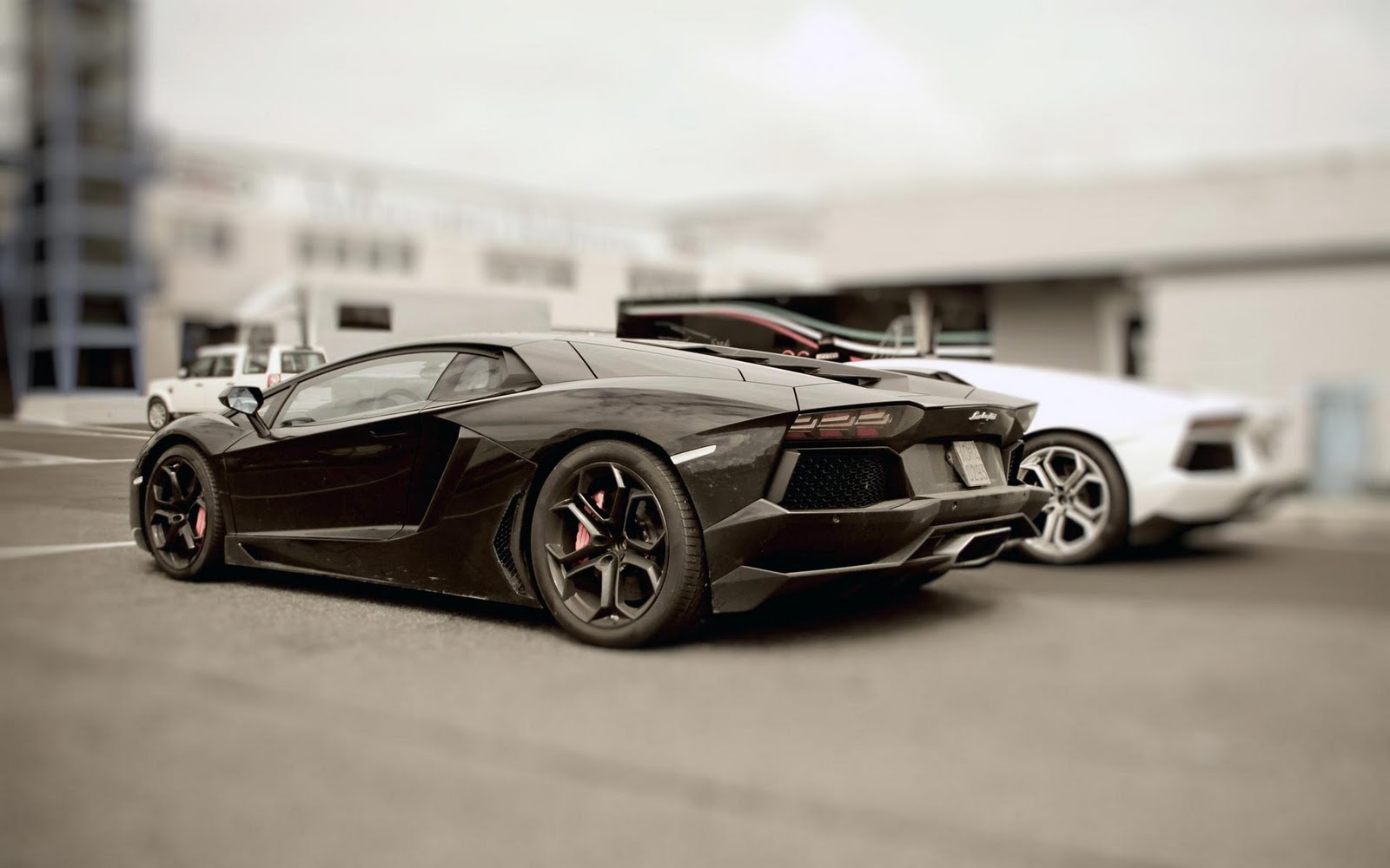 Luxury Cars Lamborghini Aventador Wallpaper