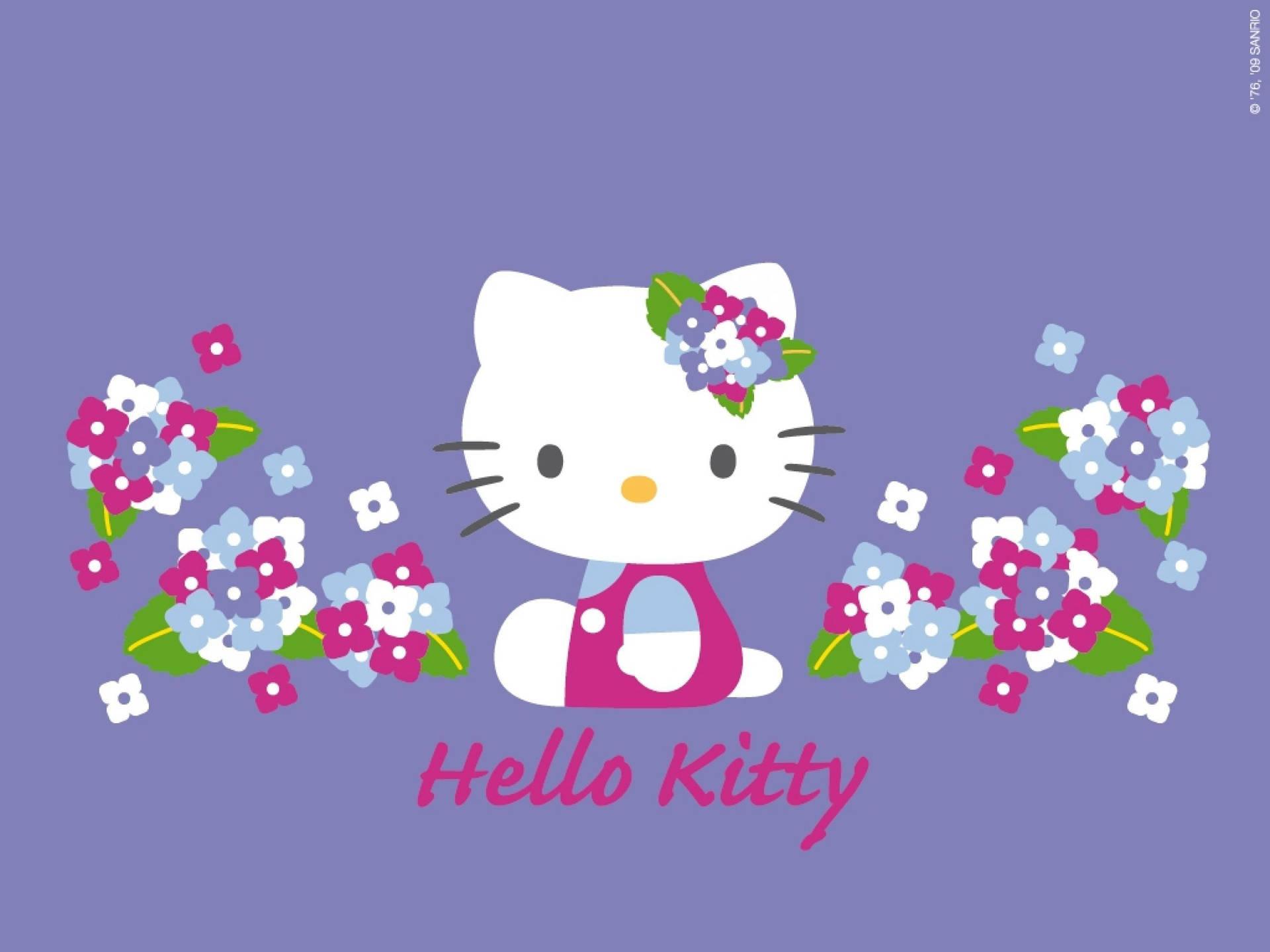 Download Violet Hello Kitty Desktop Wallpaper