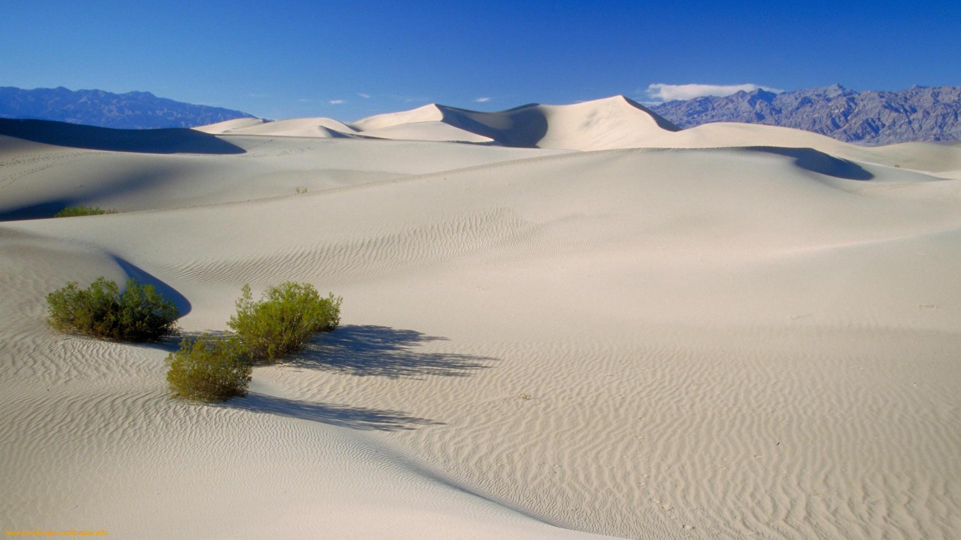 White Sand Desert Wallpaper HD