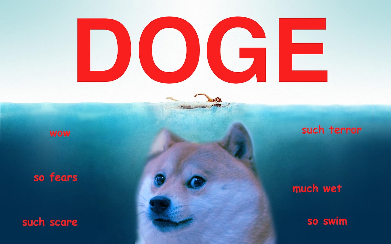 Doge Backgrounds 1280x800 Download HD Wallpaper WallpaperTip
