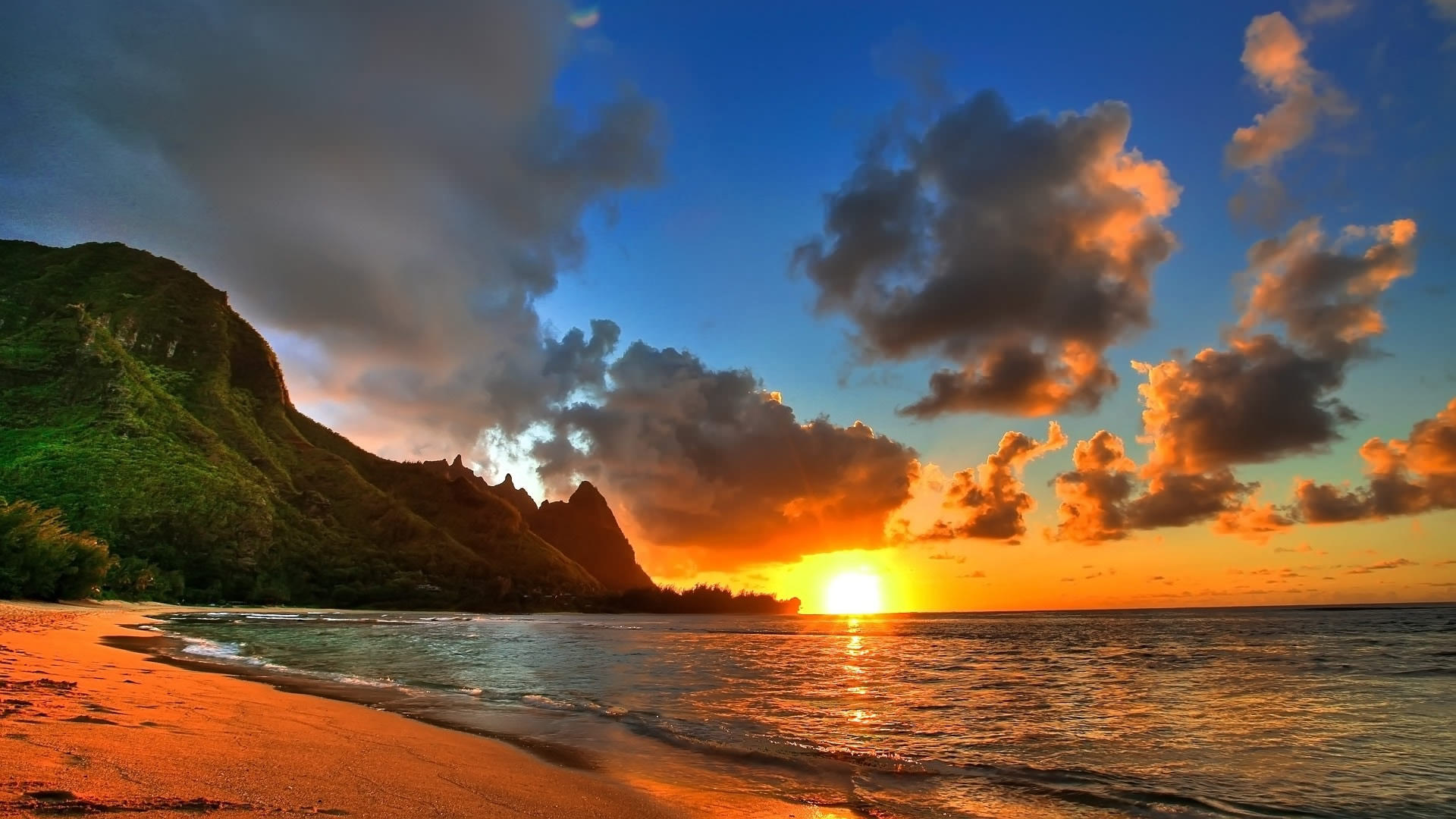 Summer Beach Background