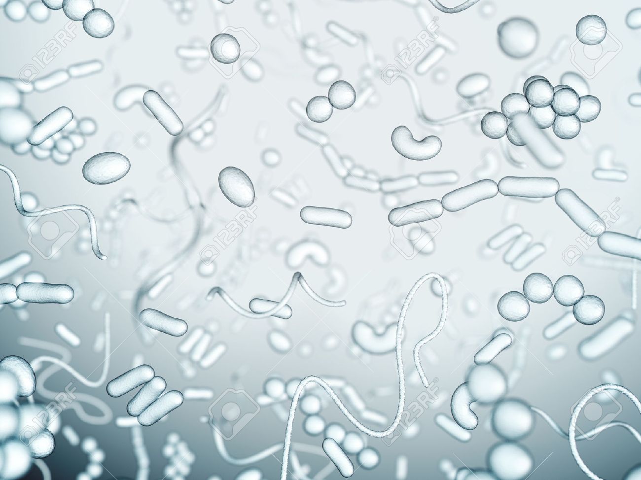 Different Types Of Bacteria On A Light Background Stock Photo