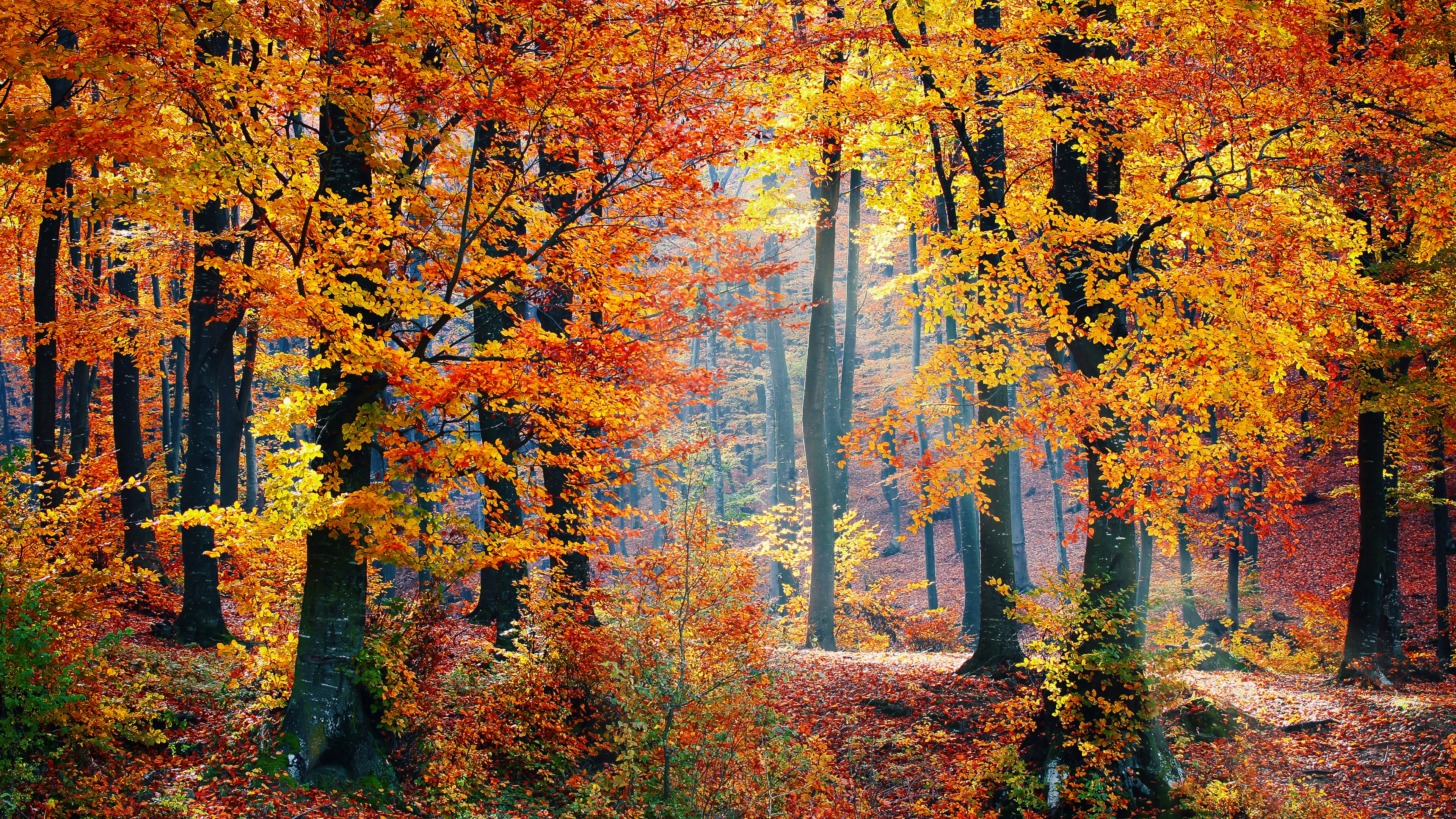 Killington Vermont Wallpaper Teahub Io