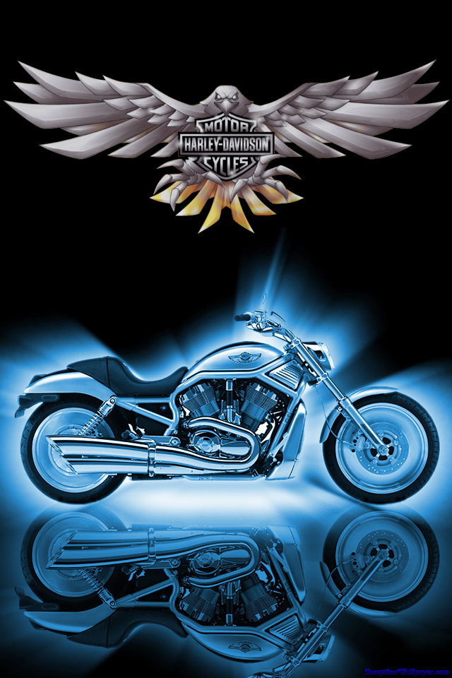 Harley Davidson iPhone Wallpaper Photo Galleries And