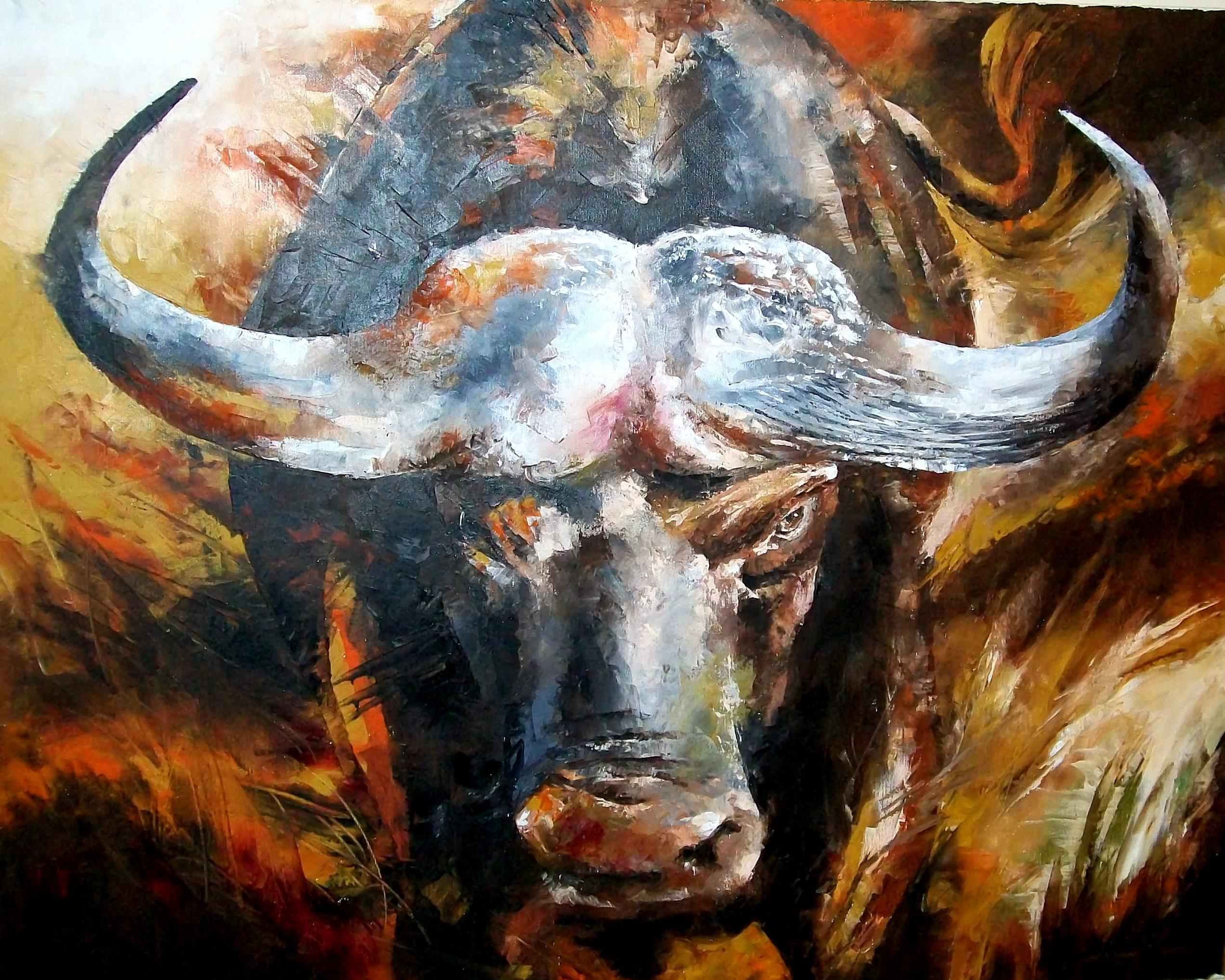 African Buffalo Wallpaper Background Image