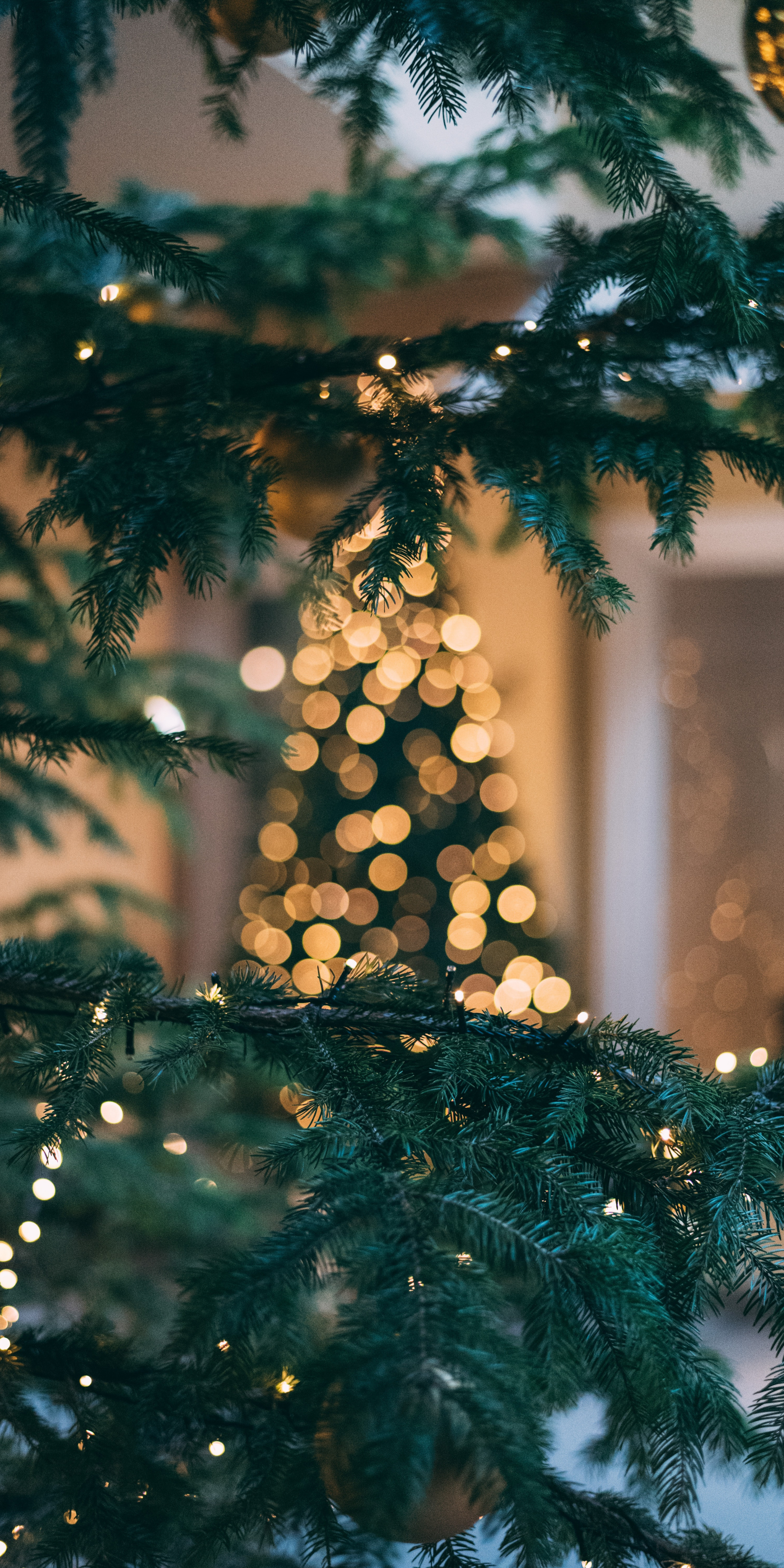 Lấy cảm hứng từ những đèn trang trí lộng lẫy và ý nghĩa của ngày lễ Giáng sinh năm nay tại Mỹ, hãy xem qua bức hình nền Giáng sinh Hoa Kỳ để đón chào một mùa lễ hội rực rỡ và ý nghĩa.