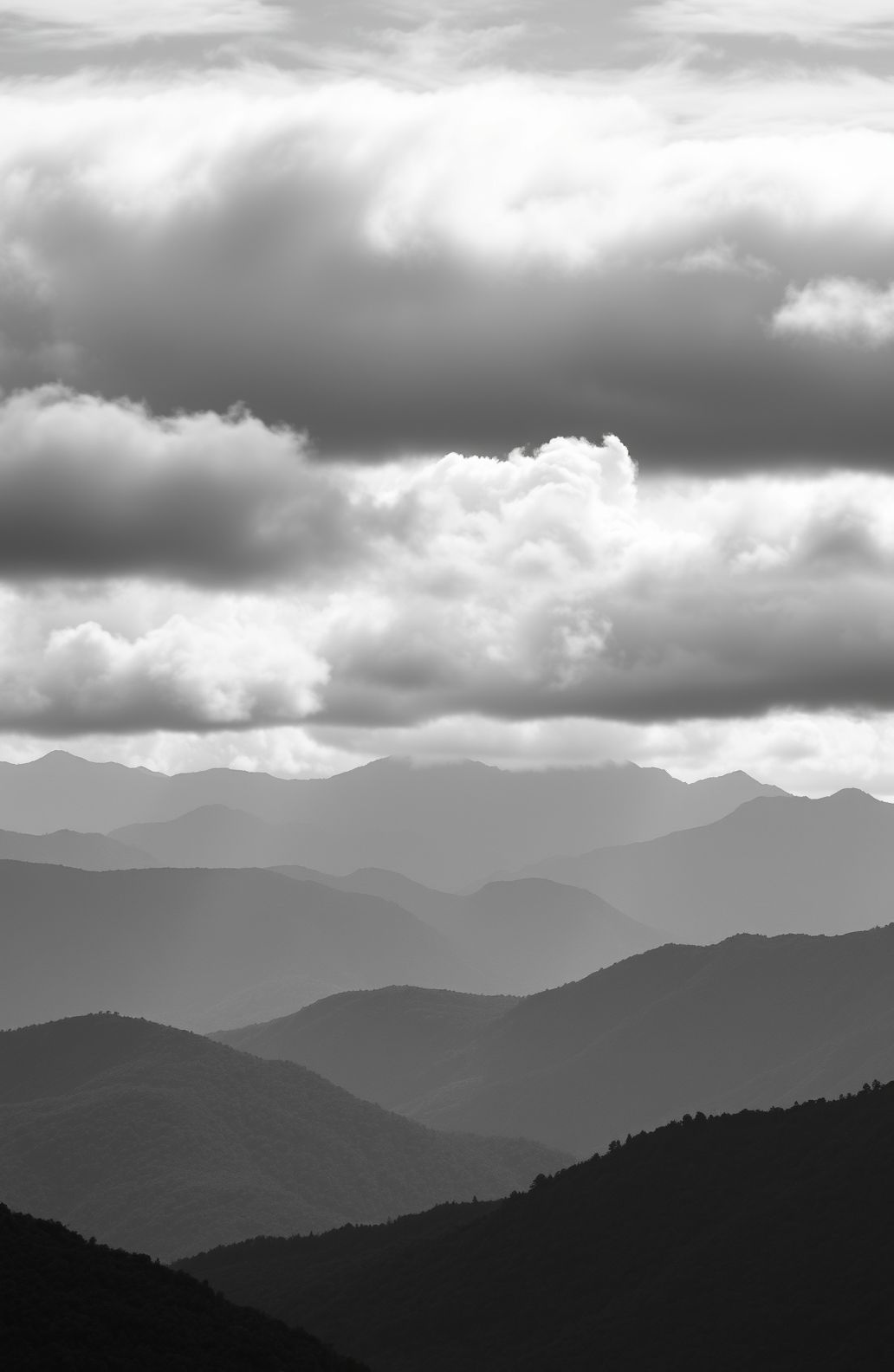 Black And White Hd Wallpaper