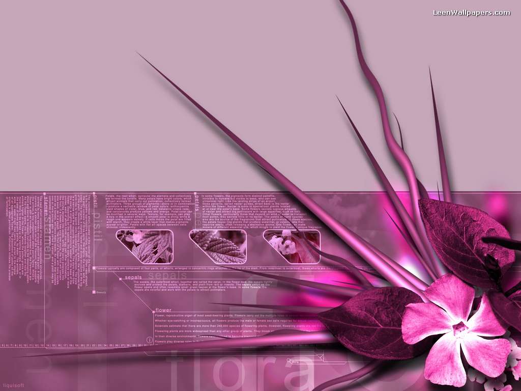 A vibrant pink flower with dark pink leaves against a soft pink background, accented with graphical elements and textual descriptions of flower parts