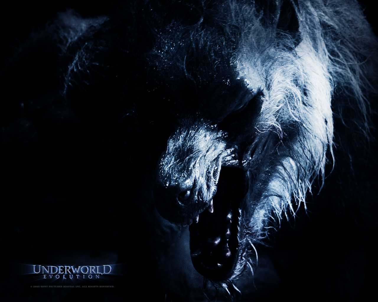 Wolf Predator Vs Underworld Lycans Battles Ic Vine
