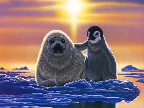 William Schimmel Seal And Baby Penguin Screensaver Screensavers