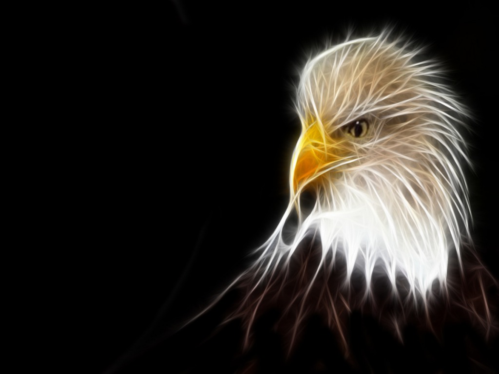 Eagle Painting Wallpaper Abstract