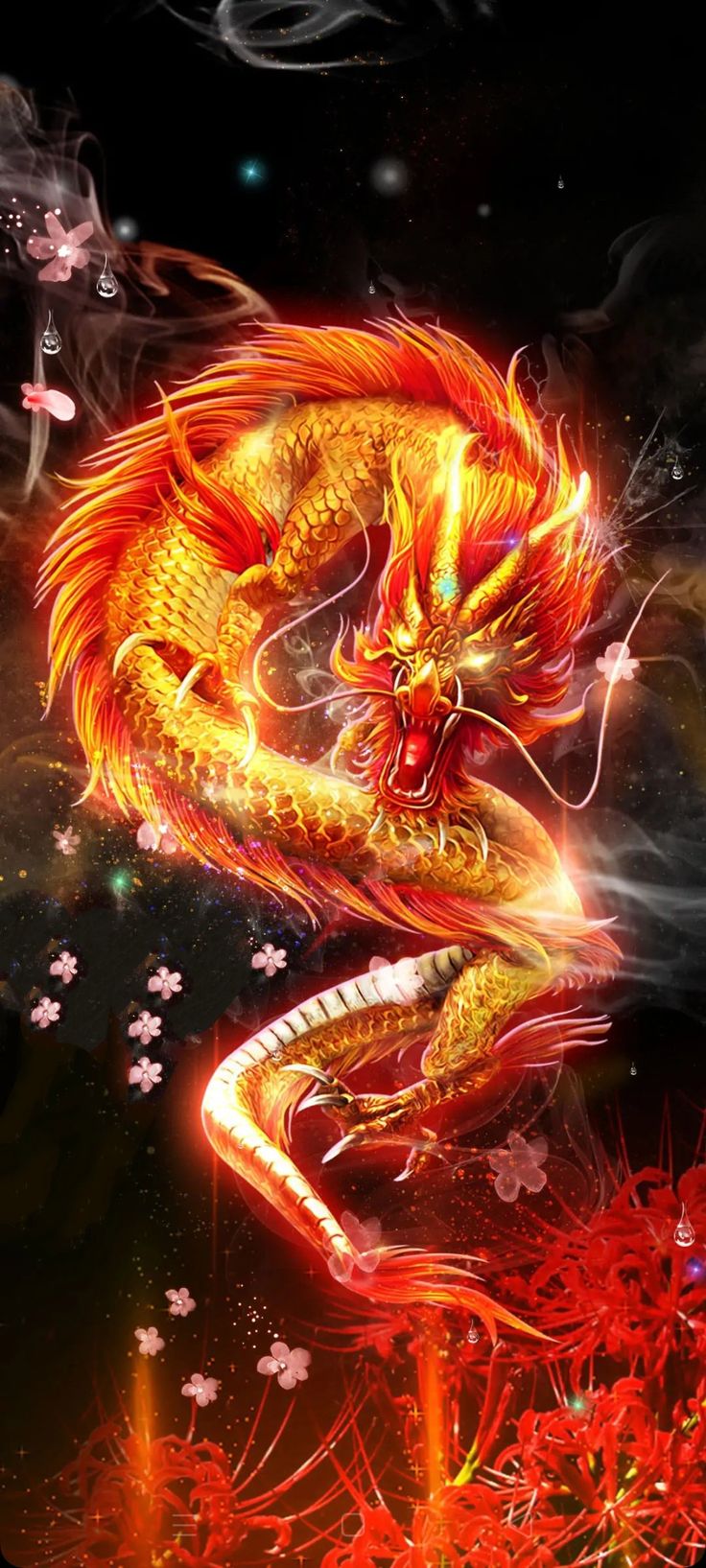 Dragon Wallpaper Ideas Pictures Art