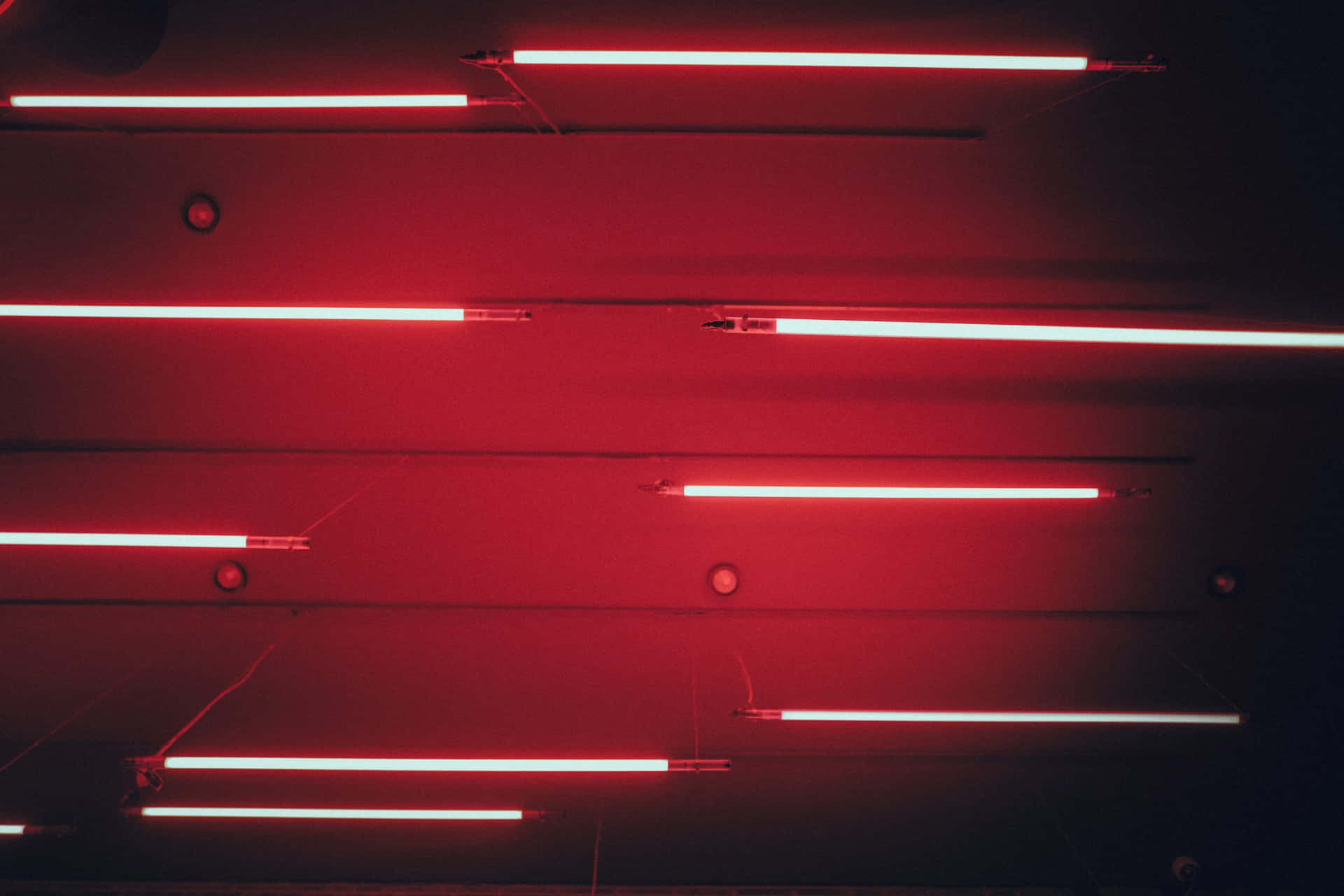 Light Red Wallpaper