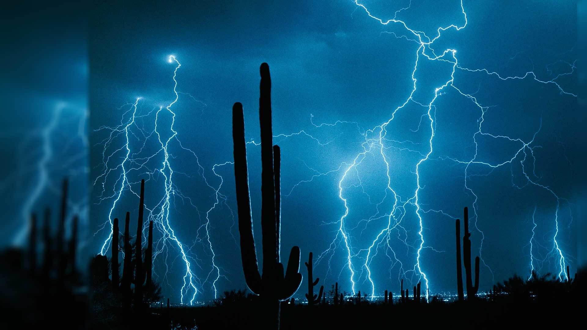 Silhouetted cacti against a vibrant night sky illuminated by dramatic blue lightning strikes