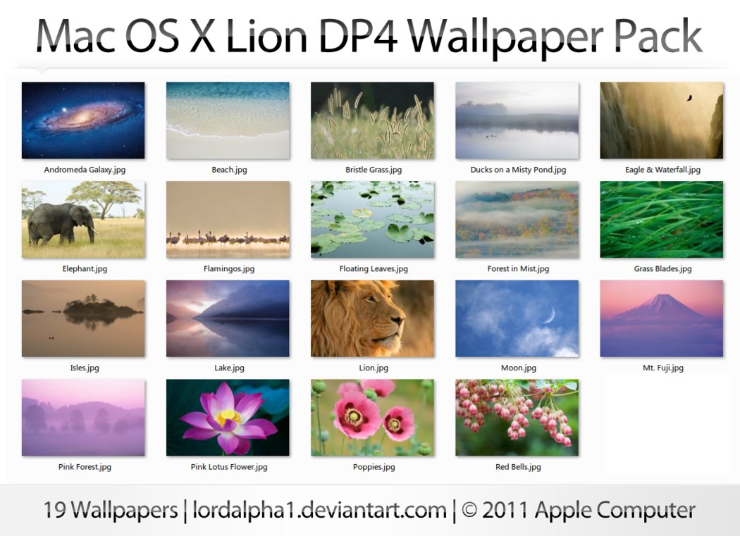 Mac Os X Lion Dp4 Wallpaper By Ainq