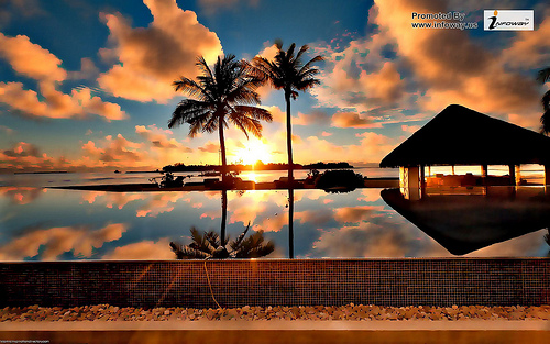 Tropical Sunset Desktop Wallpaper Widescreen Flickr   Photo Sharing
