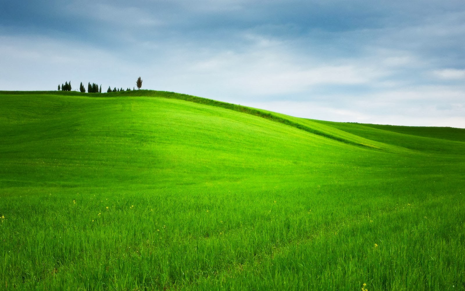 wallpapers Grassy Hills Wallpapers