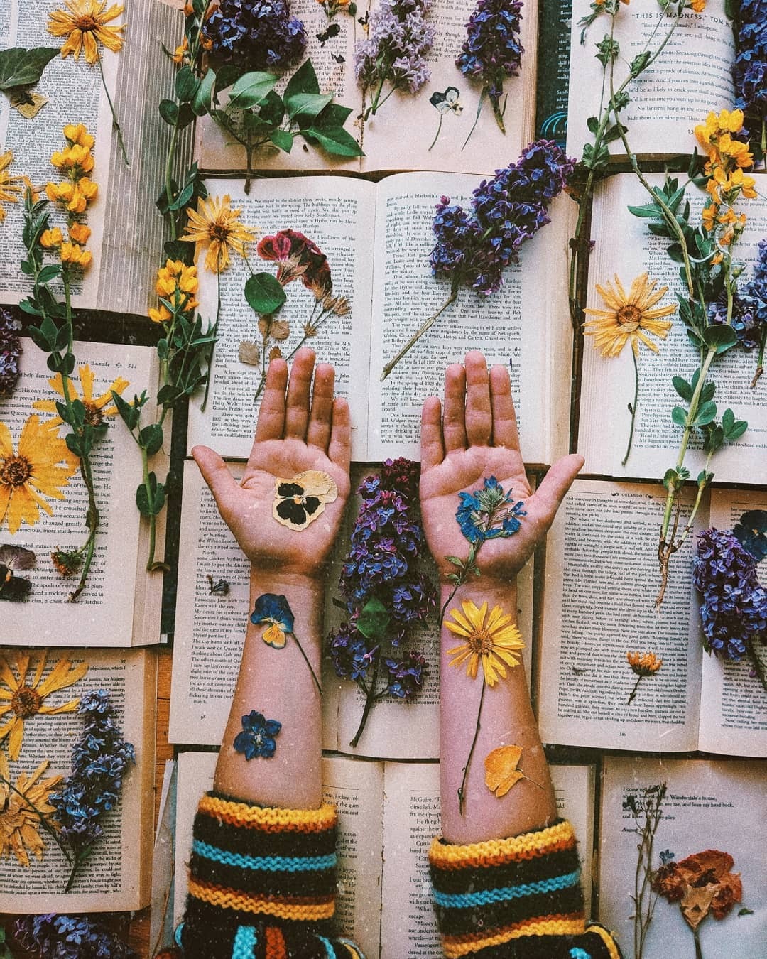 Amy Nelson On Instagram Follow So Super Awesome Wallpaper