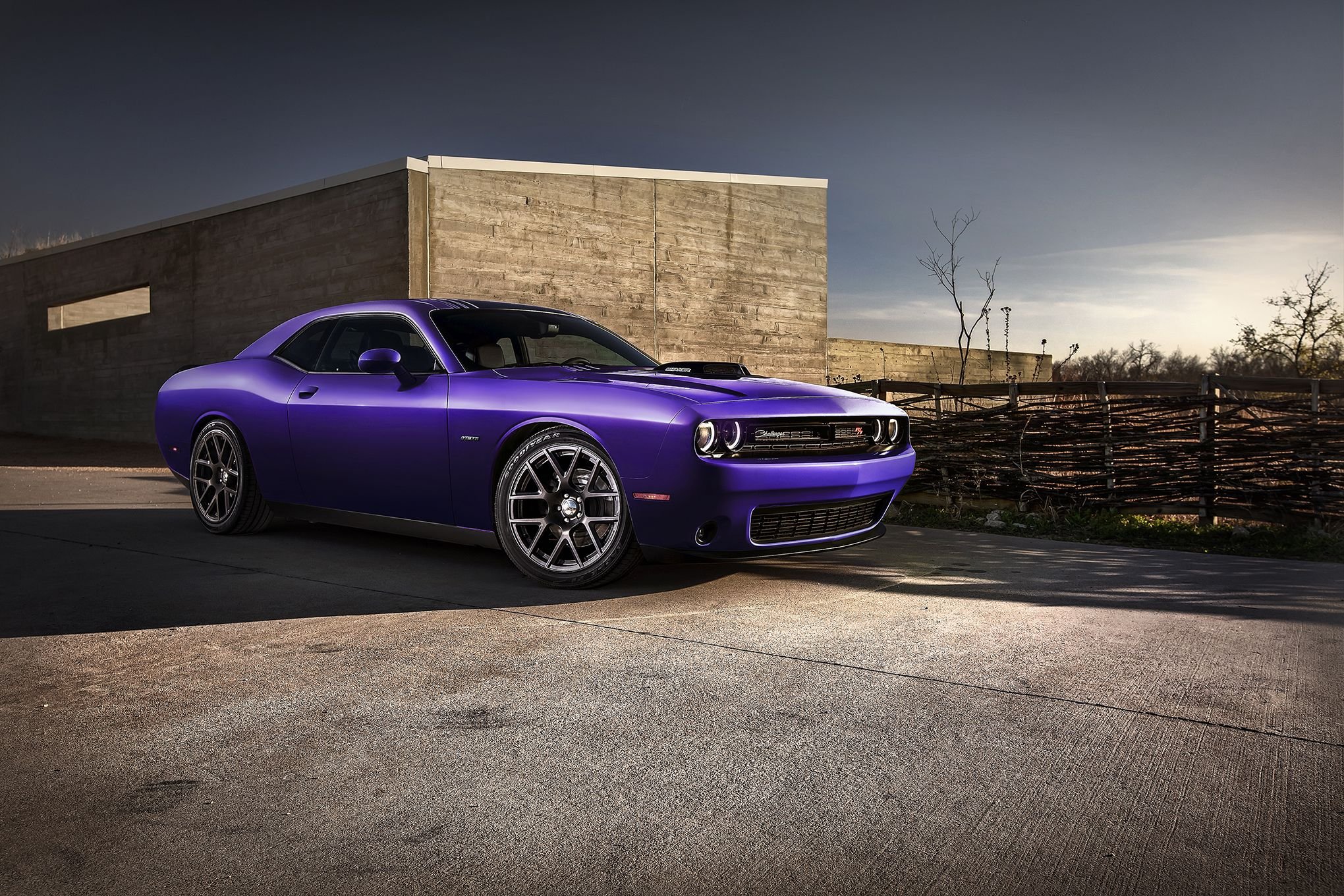 Dodge Challenger Charger Plum Crazy Limited Edition Supercar