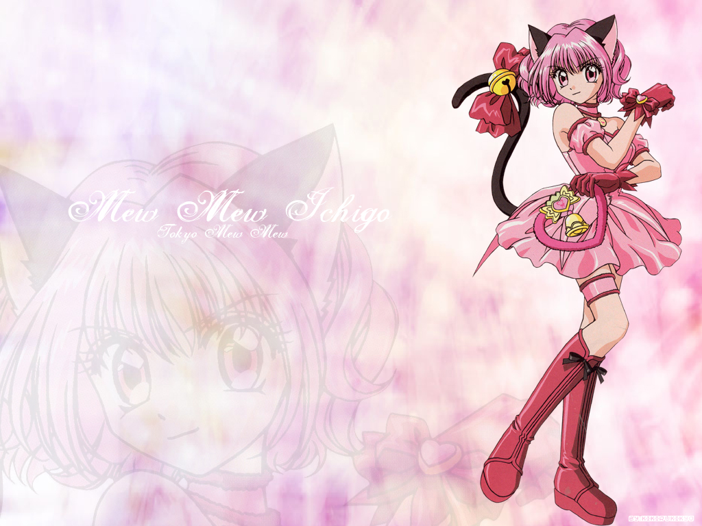 Cute Anime Cats Wallpaper 1024x768 cute cat girl 5 1024x768