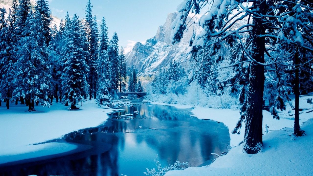 Rare Nature S Best Ever Snowfall Video Beauty Of Shimla At