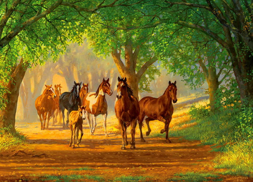 Country Horse Wallpaper Lane Horses