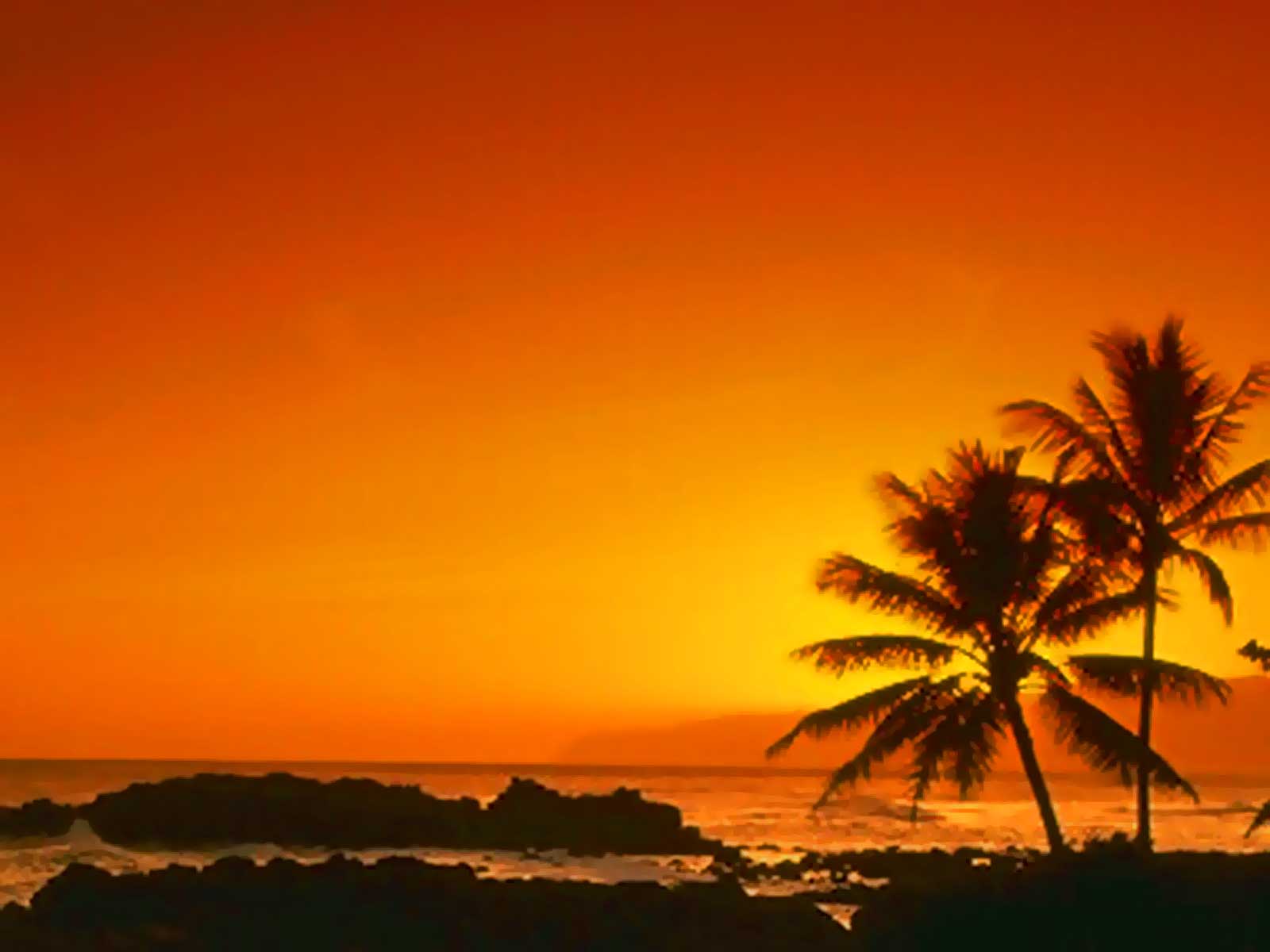 Sunset On The Beach Hd Wallpaper In Imageci