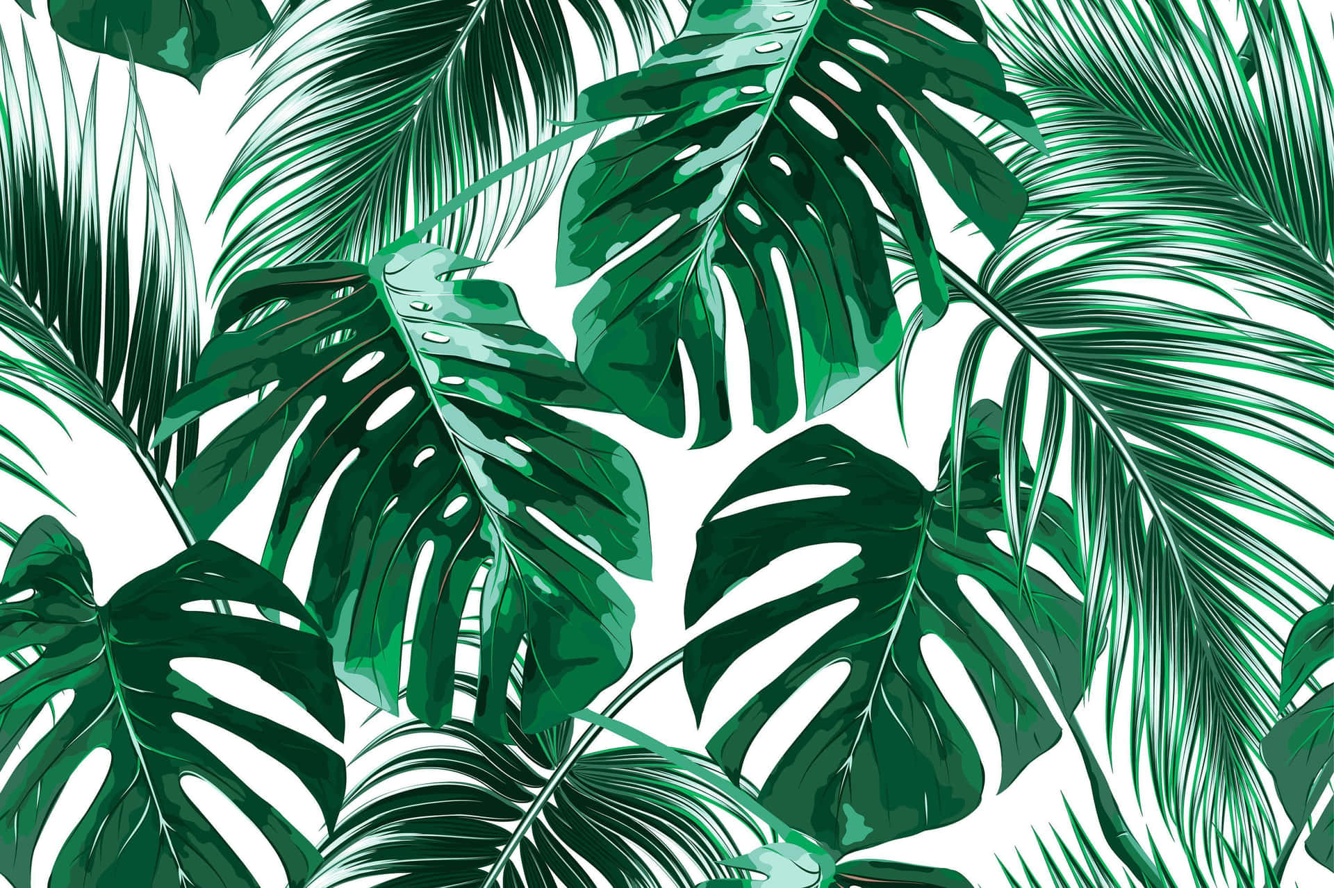 Tropical Leaves Desktop Wallpaper