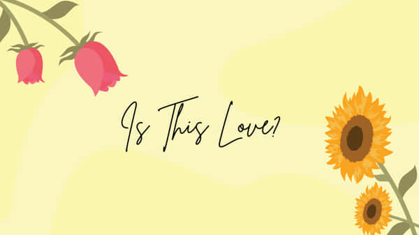Sunflowers And Pink Roses Wallpaper
