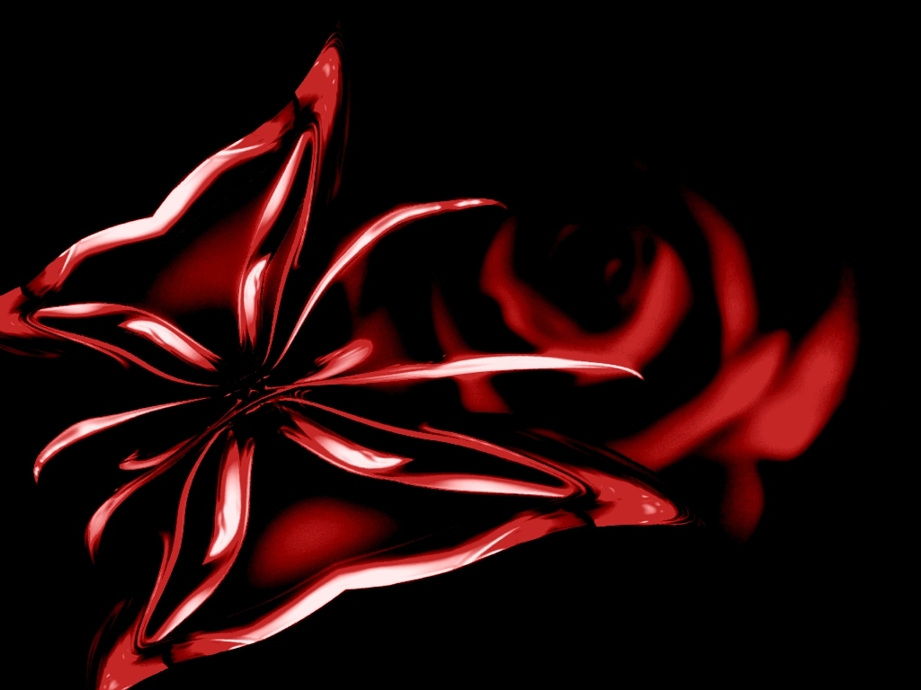 XP wallpaper Red butterfly image on black background with red rose