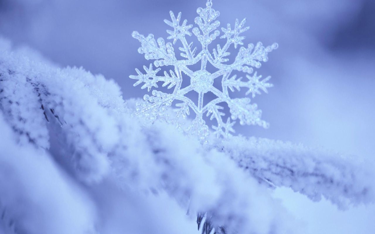 Snowflake Wallpaper