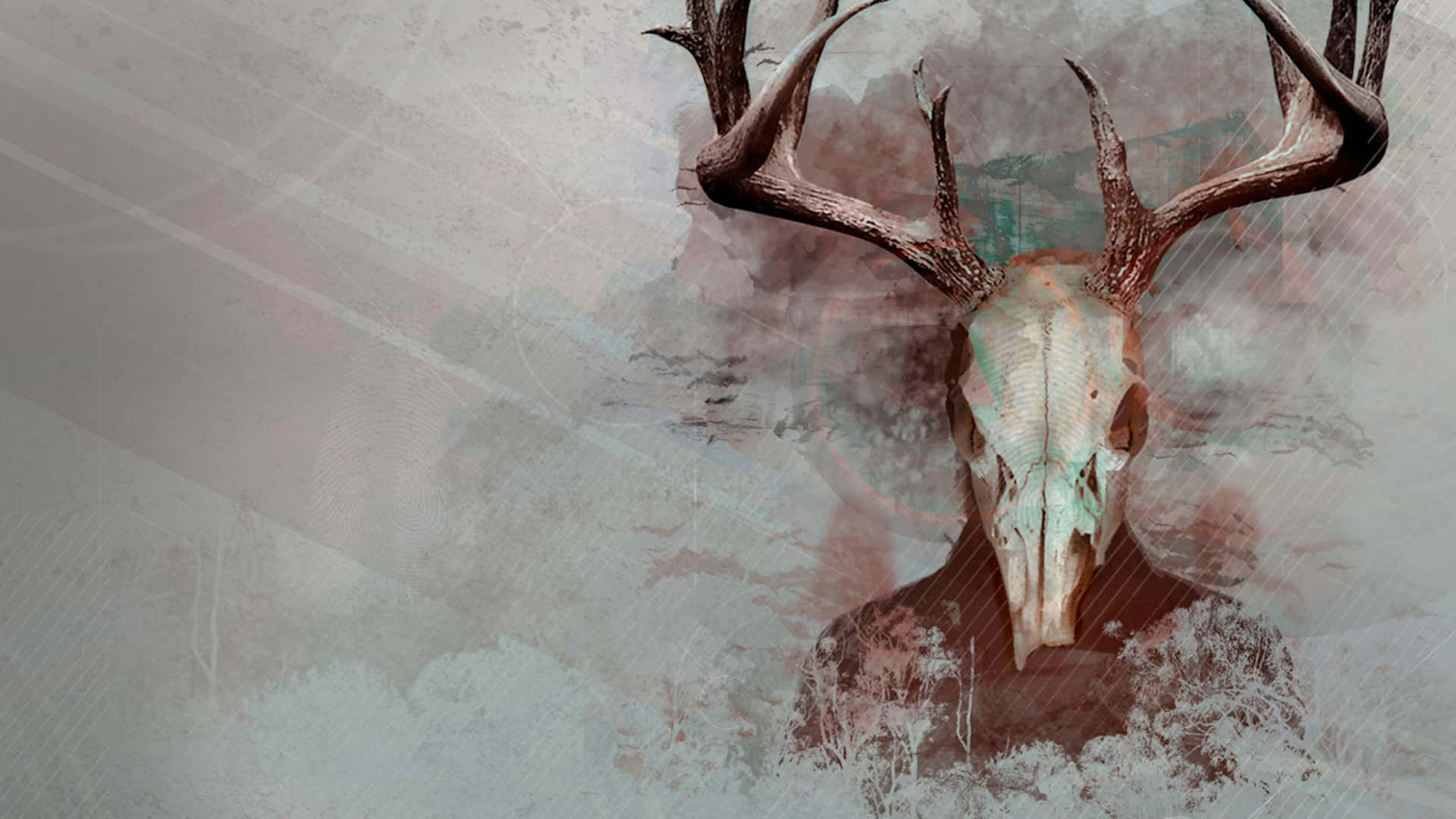 Dear Bull Skull On Grunge Wallpaper