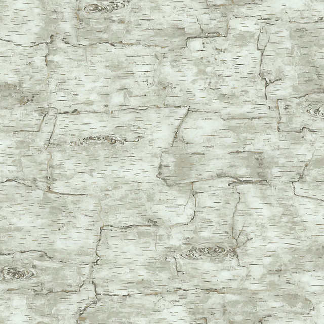 Birch Bark Wallpaper Off White Double Roll   Rustic   Wallpaper   by 640x640