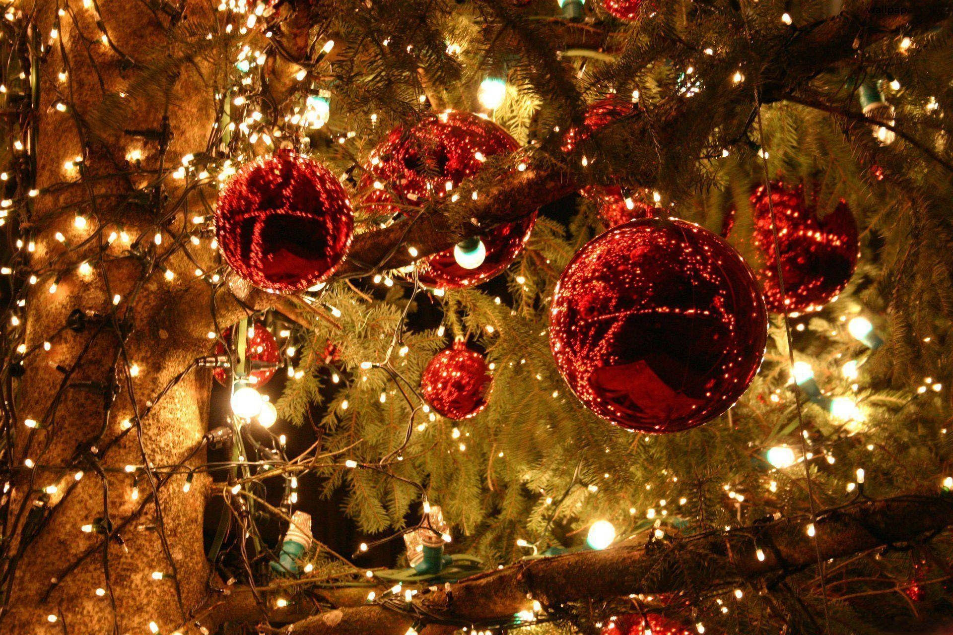 Christmas Lights Wallpaper