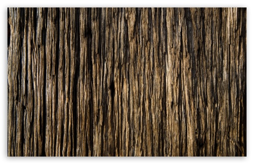 Wood HD Wallpaper For Standard Fullscreen Uxga Xga Svga Qsxga
