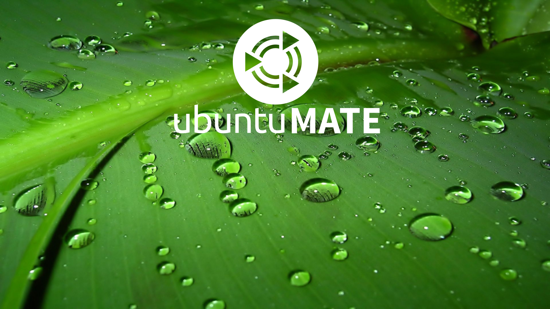 Some Ubuntumate Wallpaper Ubuntu Mate Munity