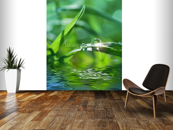 Murals Photo Wallpaper Calm And Tranquil Water Droplet